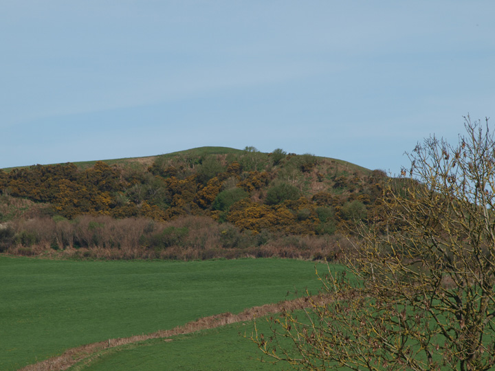 Hammiton Hill (Round Barrow(s)) by formicaant