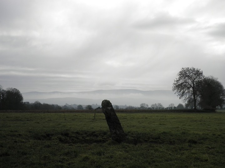 Rathneaveen (Standing Stone / Menhir) by bawn79