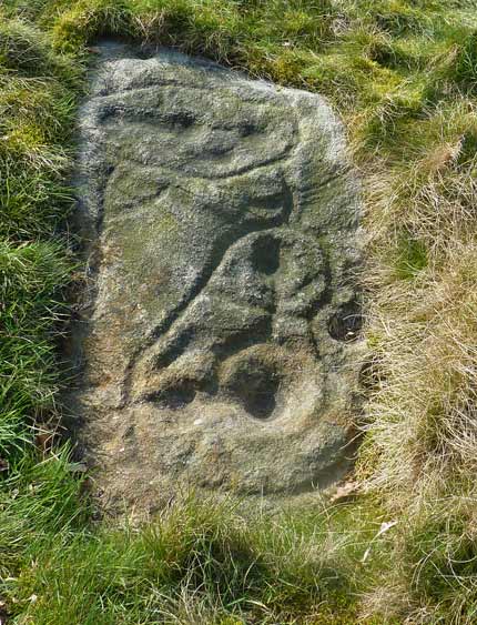 Baildon Stone 2 (Cup and Ring Marks / Rock Art) by baza