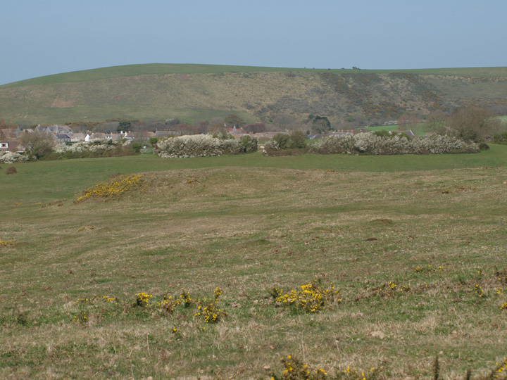 Corfe Common (Round Barrow(s)) by formicaant