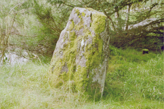 Wester Enochdhu (Standing Stone / Menhir) by hamish