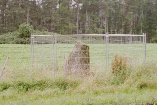 Balnabroich Stone (Standing Stone / Menhir) by hamish