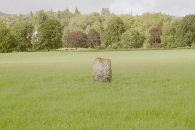 Dane's Stone (Standing Stone / Menhir) by hamish