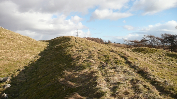 Castle Law (Forgandenny) (Hillfort) by thelonious