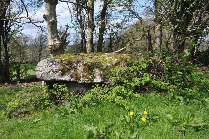 Corbehagh (Wedge Tomb) by bogman