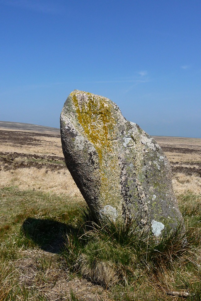 White Moor Stone Circle (Stone Circle) by thesweetcheat