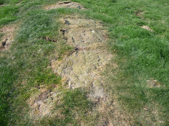Backley Hill 1 (Cup and Ring Marks / Rock Art) by drewbhoy