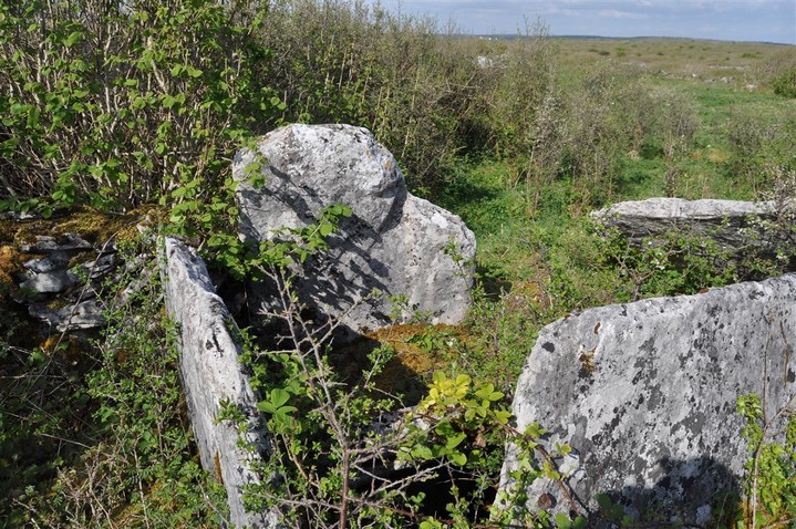 Ballyganner North III (Wedge Tomb) by bogman