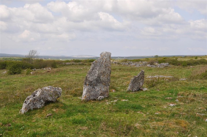 Cahermackirilla (Stone Row / Alignment) by bogman