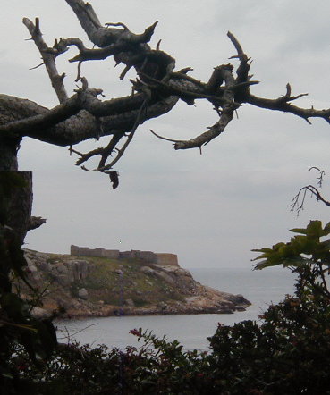 Dalkey Island (Hillfort) by J Adams