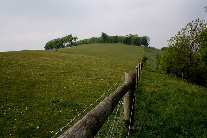 Chanctonbury Ring (Hillfort) by GLADMAN