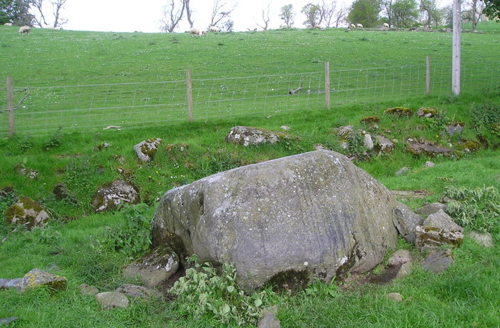Lurgan Farm (Cup Marked Stone) by tiompan