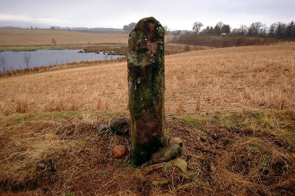 Lendrick Lodge Stone (Standing Stone / Menhir) by nickbrand
