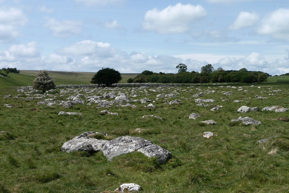 Fyfield Down (Natural Rock Feature) by thesweetcheat