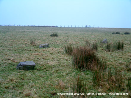 Lled Croen yr Ych (Stone Circle) by Kammer