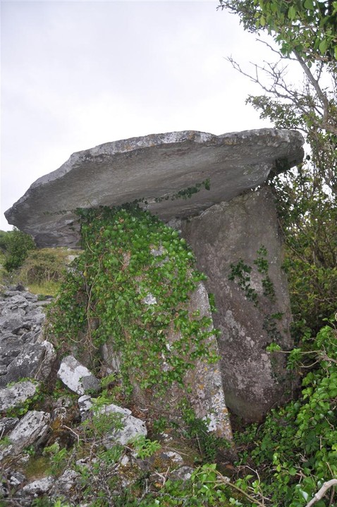 Crannagh (Portal Tomb) by bogman