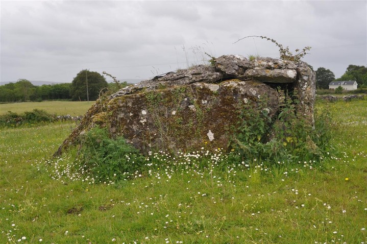 Ballyhickey (Wedge Tomb) by bogman
