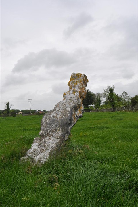 Knappogue N (Standing Stone / Menhir) by bogman