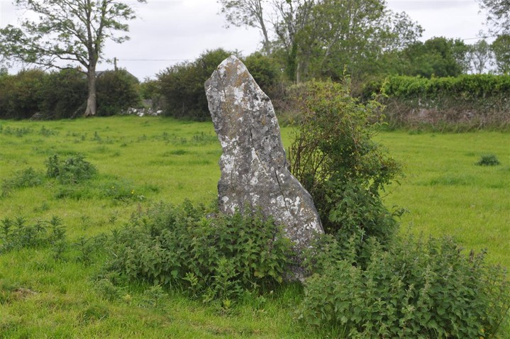 Knappogue (Standing Stones) by bogman