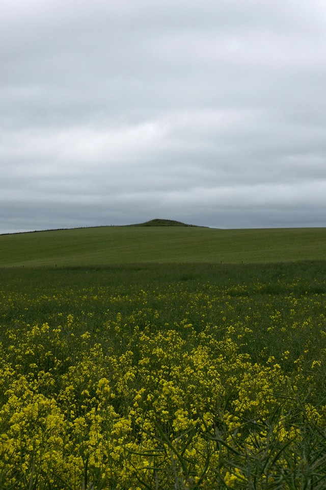 Easton Down (Long Barrow) by thesweetcheat