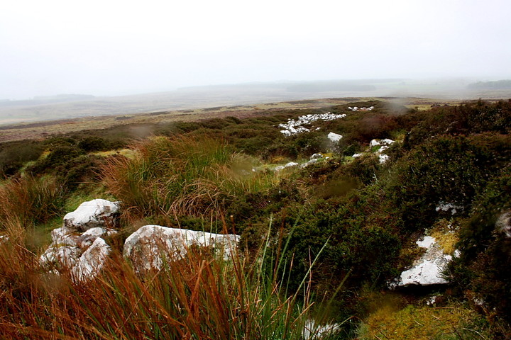 Greens Moor (Chambered Cairn) by GLADMAN