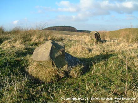 Blaen Llywernog (Standing Stones) by Kammer