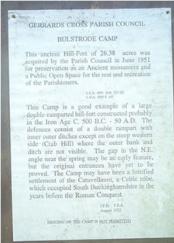 Bulstrode Camp (Hillfort) by RiotGibbon