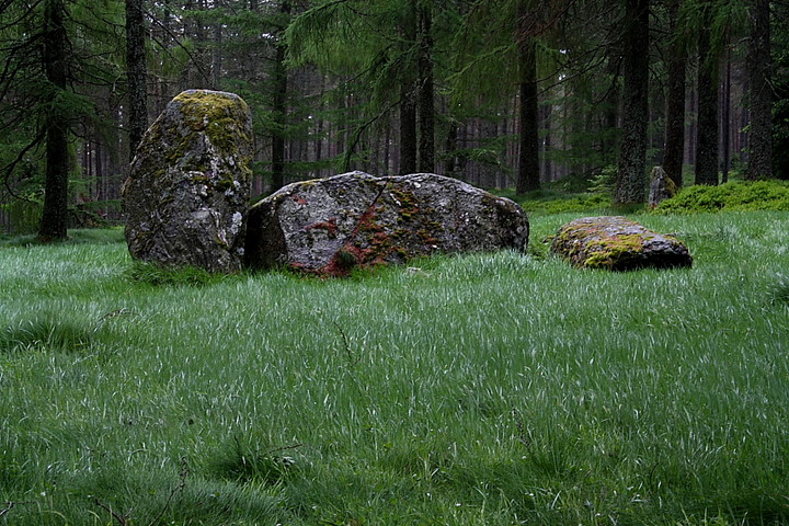 Nine Stanes (Stone Circle) by GLADMAN