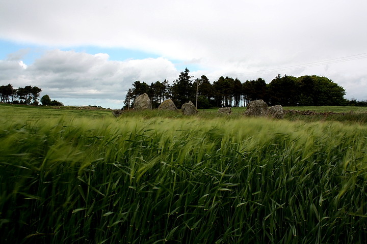South Ythsie (Stone Circle) by GLADMAN