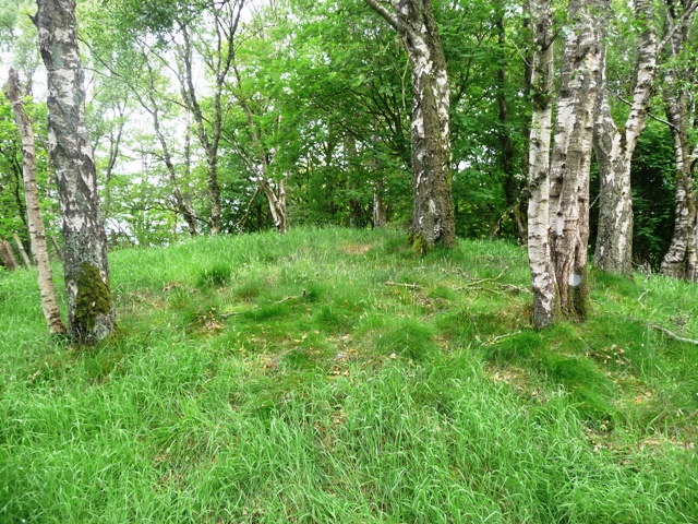 Highland Wood Croft (Cairn(s)) by drewbhoy