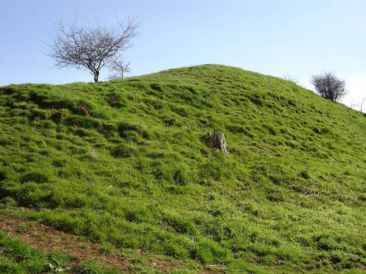 Horton Camp (Hillfort) by moss