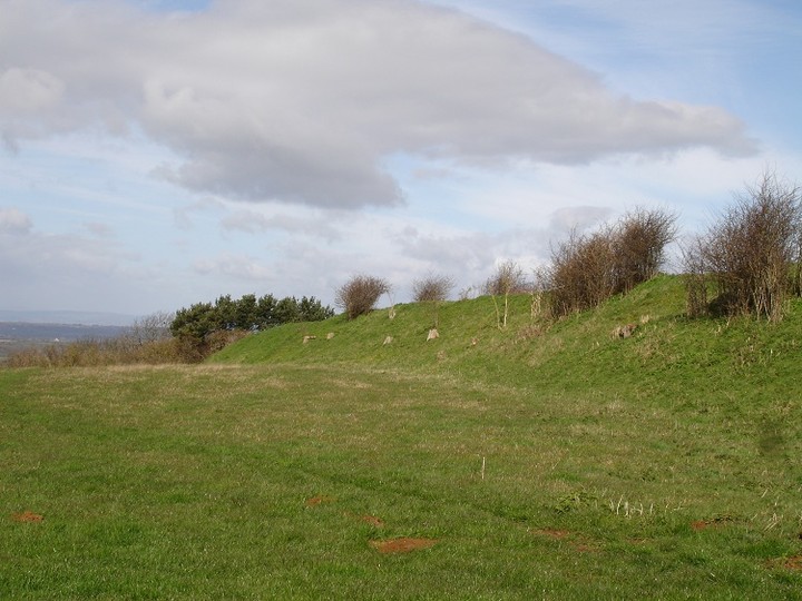 Horton Camp (Hillfort) by moss