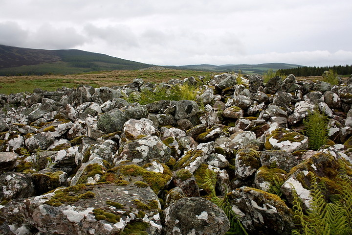 Boath Long and Short (Chambered Cairn) by GLADMAN