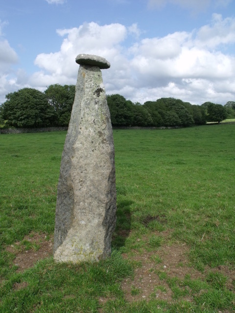 Cilgwythwch (Standing Stone / Menhir) by blossom