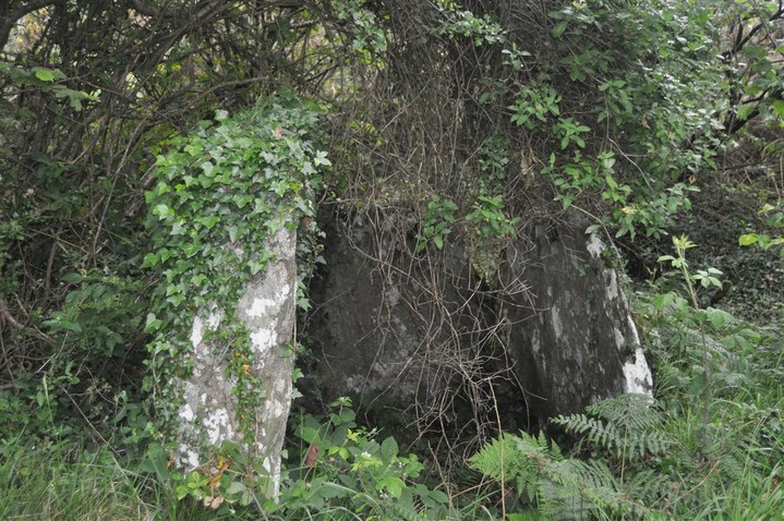 Binn (Portal Tomb) by bogman