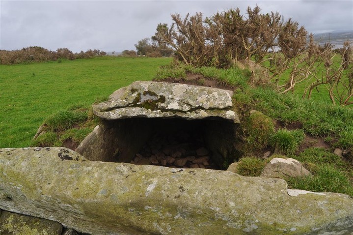 Magheranaul (Wedge Tomb) by bogman