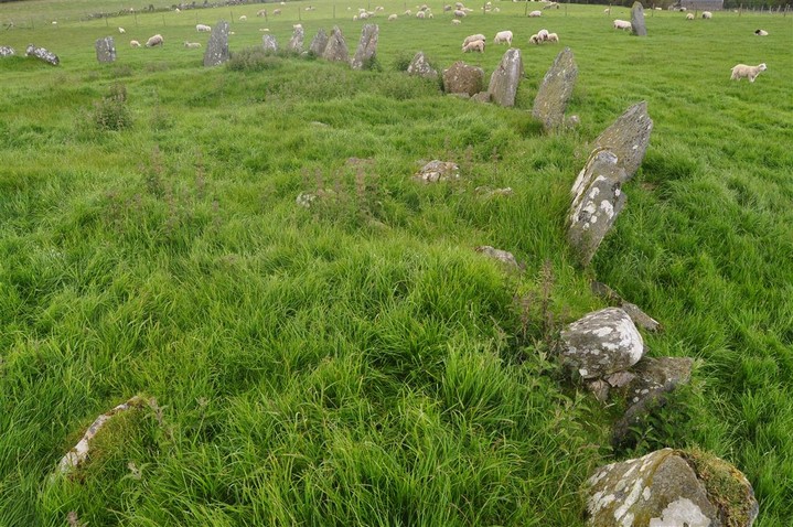 Beltany (Stone Circle) by bogman