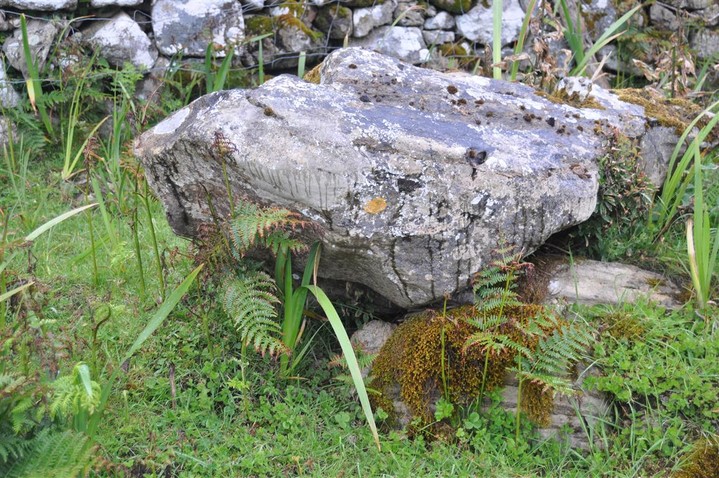 Toome (Portal Tomb) by bogman