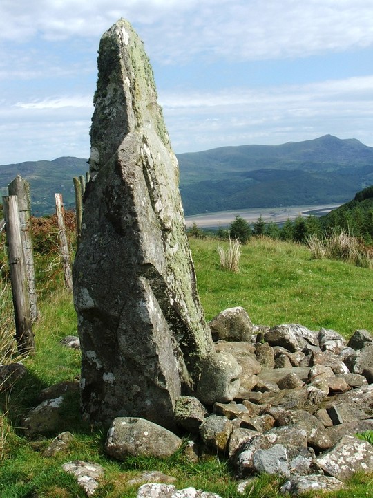Bryn Seward Stones (Stone Row / Alignment) by postman