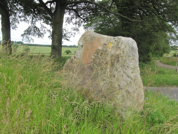 Winterbourne Bassett (Stone Circle) by tjj