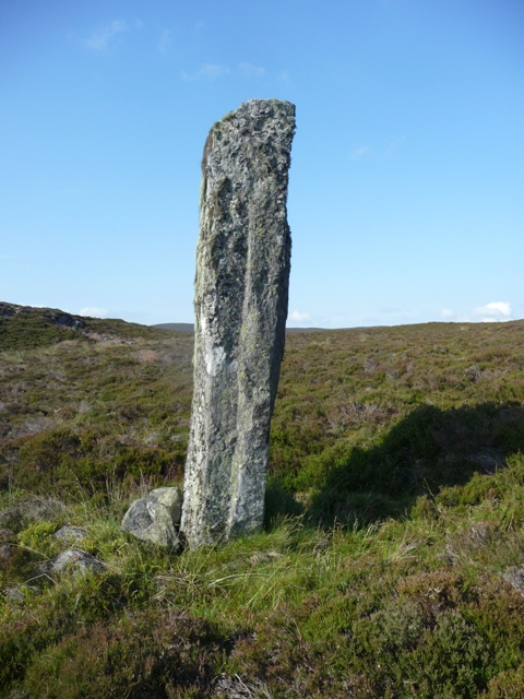Luath's Stone (Standing Stone / Menhir) by drewbhoy