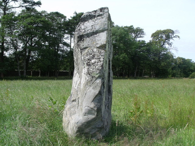 Maen Llwyd (Plas Newydd) (Standing Stone / Menhir) by blossom