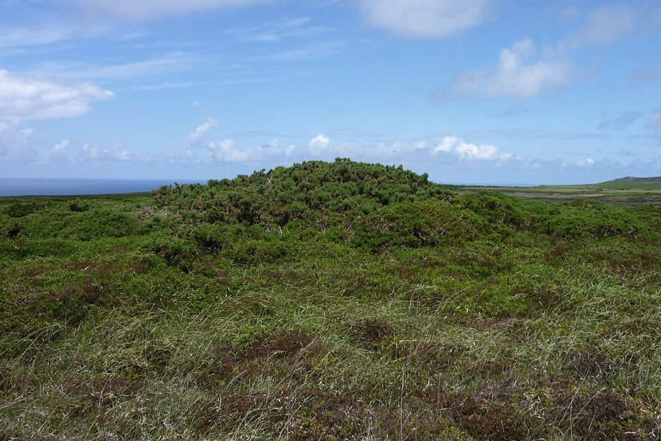 The Beacon (Zennor) (Round Barrow(s)) by thesweetcheat