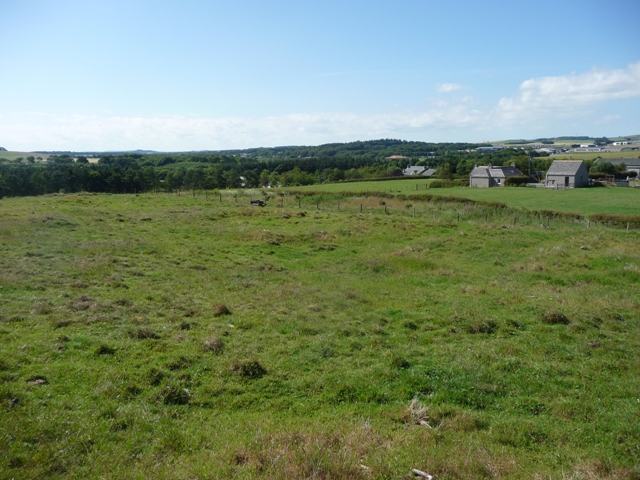 Hill Of Logie (Ancient Village / Settlement / Misc. Earthwork) by drewbhoy