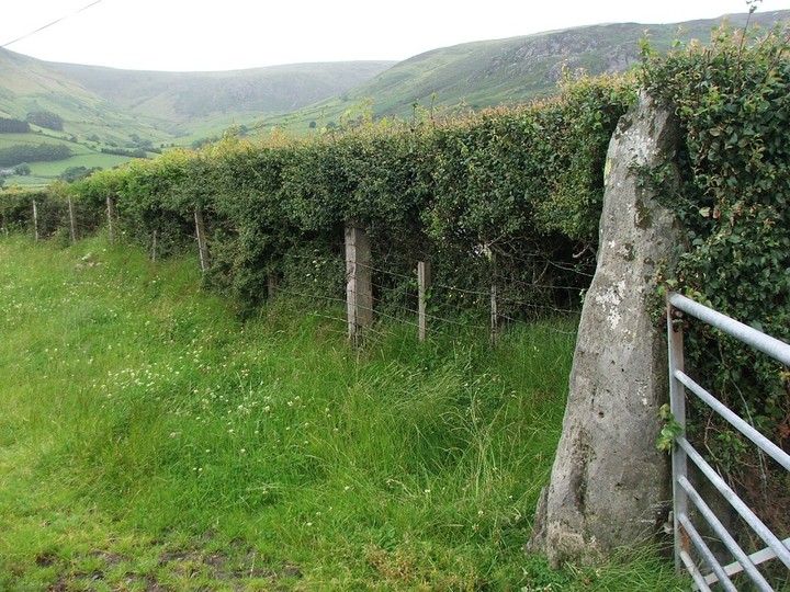 Caerberllan Farm (Standing Stone / Menhir) by postman