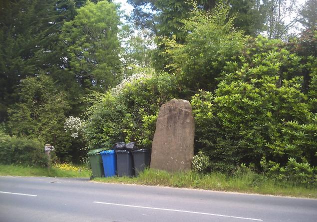 Stronach (Standing Stone / Menhir) by Howburn Digger