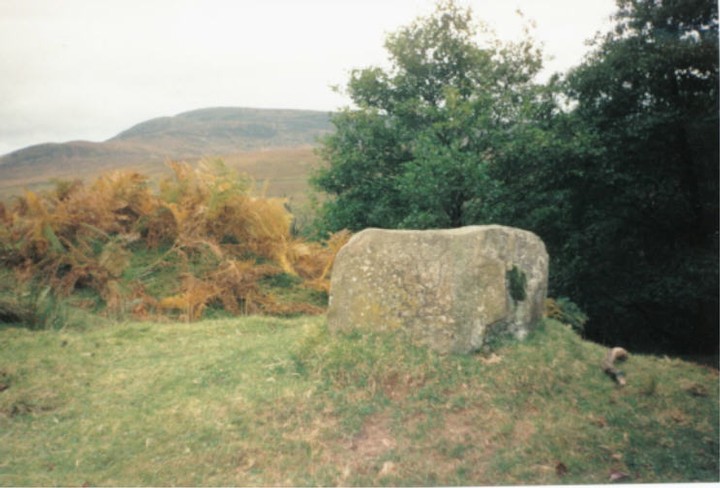 Chalice Stone, Glen Roy (Cup Marked Stone) by hamish