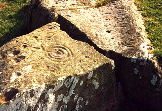 Drumtroddan Carved Rocks (Cup and Ring Marks / Rock Art) by rockartuk