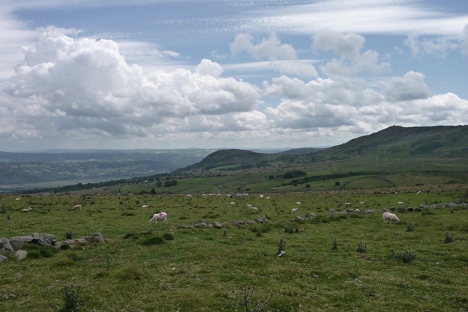 Pen-y-Gaer (Caerhun) (Hillfort) by thesweetcheat