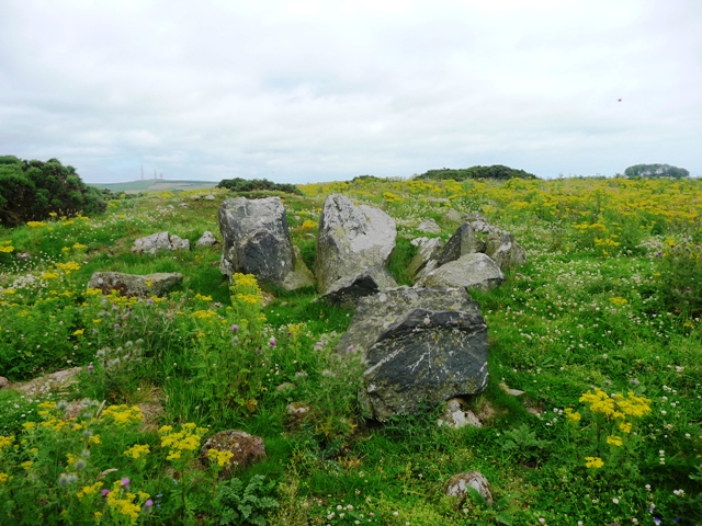Montgoldrum (Stone Circle) by drewbhoy